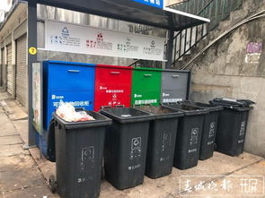 开屏调查拼了记者上街翻垃圾箱你猜发现了啥