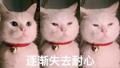 几句话告诉你,南通为什么是教育之乡
