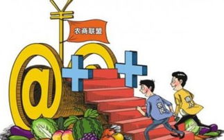 农村电商市场竞争格局及融资规模分析