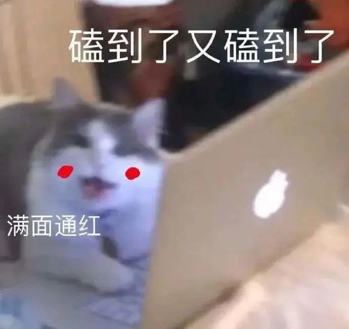 活在美颜滤镜里的绝美仙女,生图竟然长这样