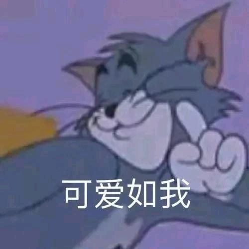 备胎他人设崩了by猫八先生