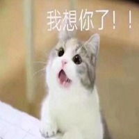 聊天图片微信表情表情包