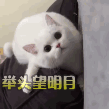 md表情包情境