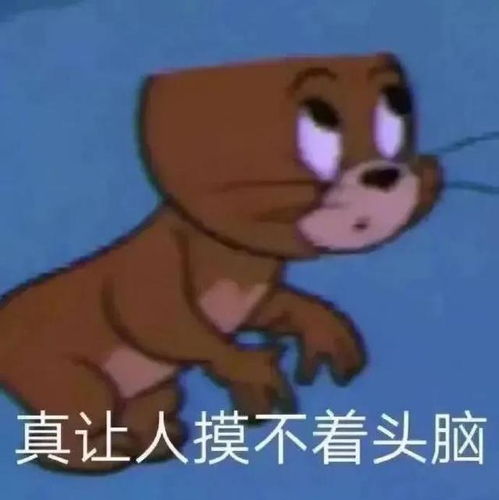 表情包实在是不愿意面对