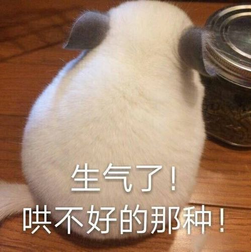 有哪些可爱的沙雕句子
