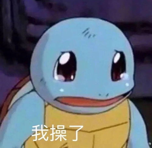 日本的做法可能才是正确的吧
