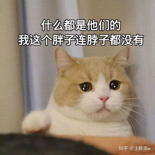 表情包超有趣的吃货表情包快来码上