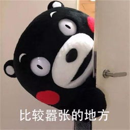 你还在等什么表情包图得罪