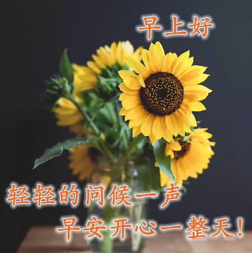 守住健康是金,做真实的自己,早安
