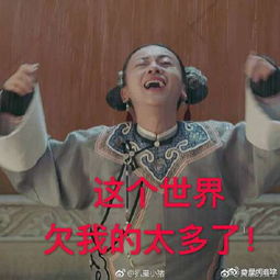 魏璎珞动态表情包大全