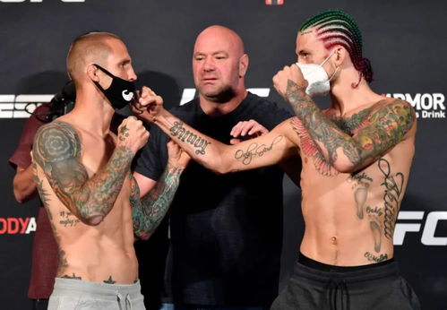 最后一块拼图ufc250前瞻