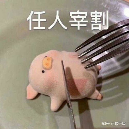 合肥美食西点培训学校有哪些