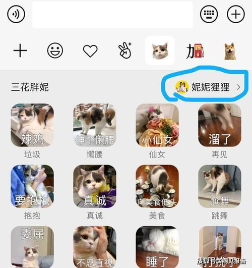 微信夜间模式终于来了,其他新功能更加实用了