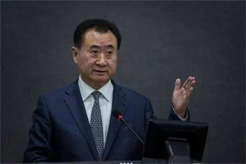 王健林想做首富是对的,先定一个小目标,比方说我先挣它一个亿