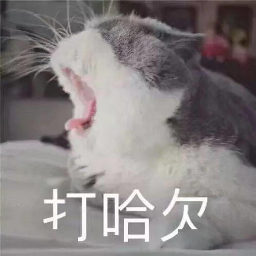 高速路上这个标志标线不知道可不行,会惹麻烦