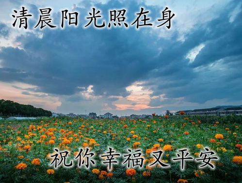 初夏每天早上好问候祝福图片2021最新的早晨好问候美图