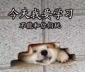 考研前夜,小岱再陪你说说话