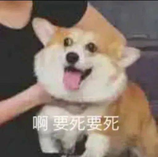 微信表情包上限变成999,快贡献出你的表情包威胁.jpg