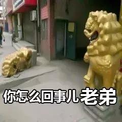最近热门表情包你怎么回事小老弟你怎么回事小老妹
