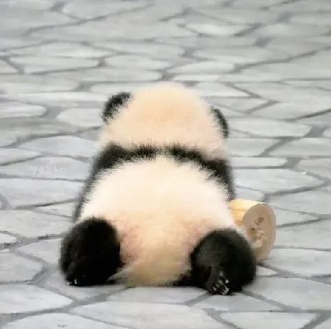 2021年3月27日在人间凑数的日子第二天