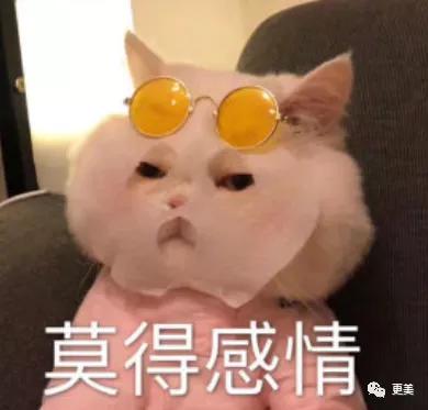 不可能吧表情包面瘫