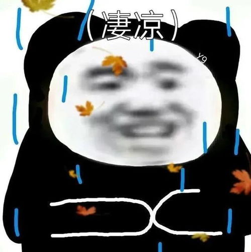 表情包我这就挖坑埋了你