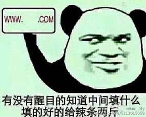 coni照片coni相册大全yy官方