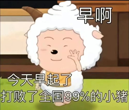 不计划,启动