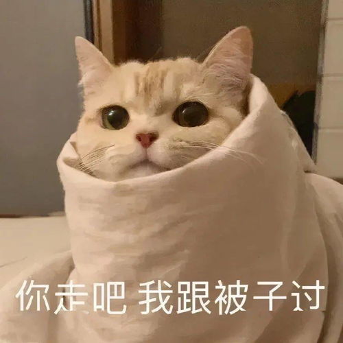 斗图表情包