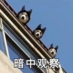 轻轻松松赚大钱表情包表情包
