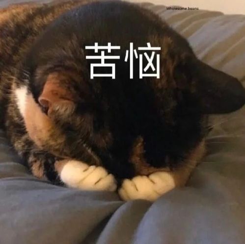 期中考倒计时考试焦虑症,我该拿你怎么办