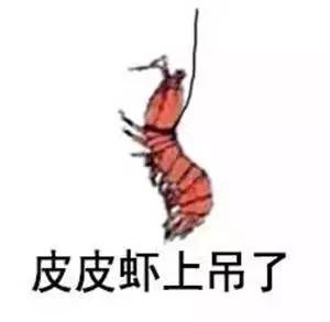 盘点丨皮皮虾我们走最全皮皮虾表情包合集