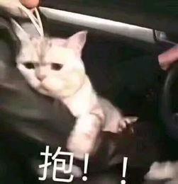 e句话看天下丨抱抱傅园慧