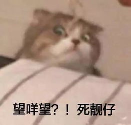 连续50天被夸奖的女孩子,真的会变美