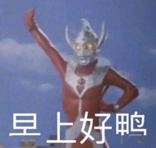 嘶哎呀