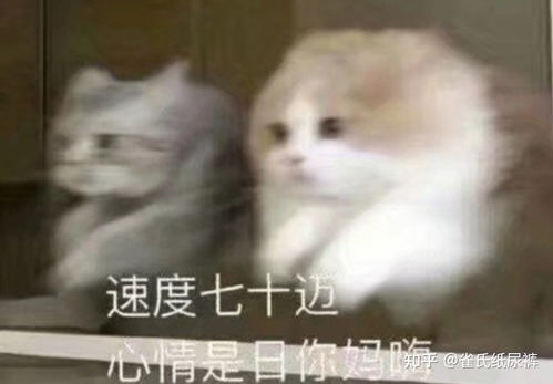 长期不谈恋爱是什么感觉