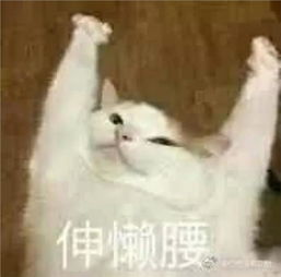 表情包生成链接台风