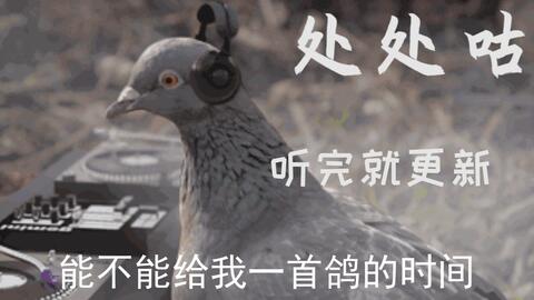 处处鸽我们是兄弟我怎么会鸽你呢