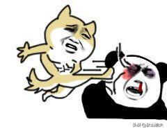 为什么纯洁的象牙塔内会出现与之不匹配的龌龊行为