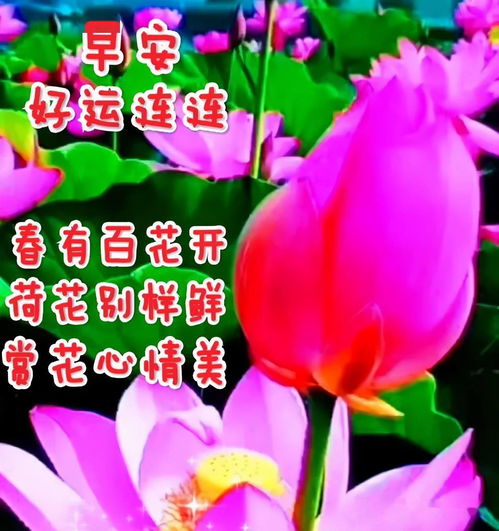 愿你天黑有灯,下雨有伞,余生有良人作伴早安祝福
