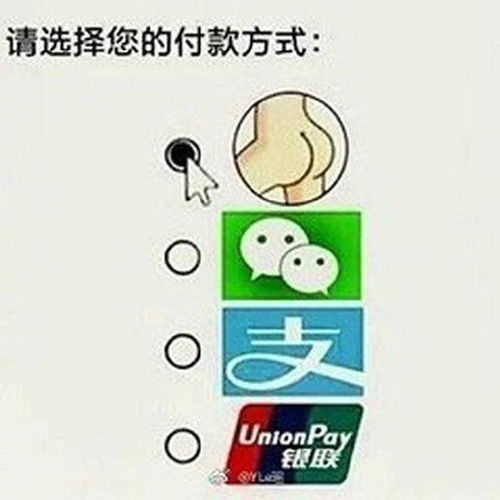 表情包请选择您的付款方式
