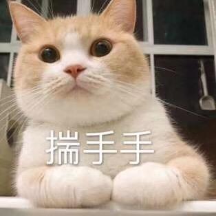 可爱猫咪等回复表情包唉,喜欢的人怎么还没回我消息