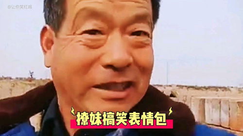 盘点搞笑撩妹表情包,福利福利福利下一个脱单的人就是你