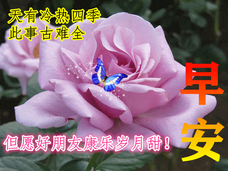 最漂亮早上好动态表情图片大全,早上好动图美图大全