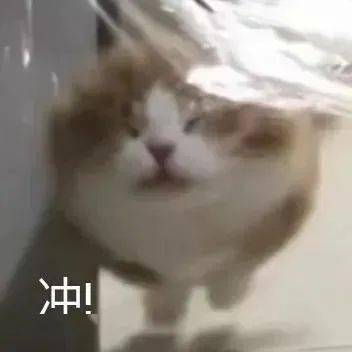沙雕表情呵这绿茶