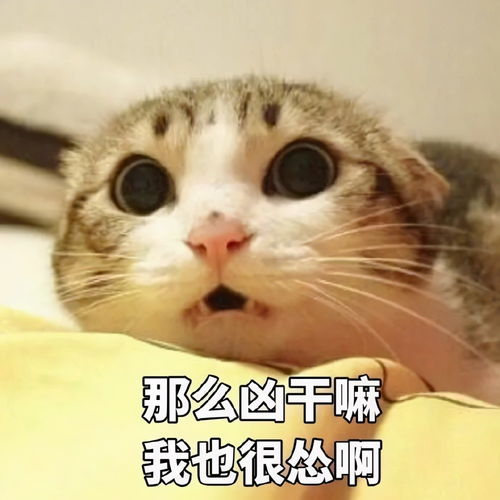 文案怎么可爱地跟男朋友道歉