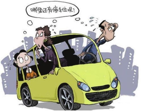 缓解停车难忻州新设525个限时停车位