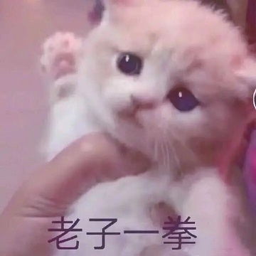 就看看