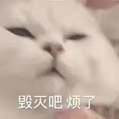 奇葩招聘要求接连不断,秘书岗竟被要求必须有性生活经验