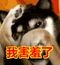 当老师前vs当老师后,这组表情包扎心了